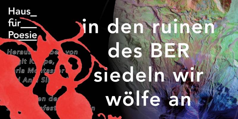 Festival-Anthologie der young poems 2020: in den Ruinen des BER siedeln wir wölfe&nbsp;an